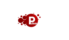 Pulsar Marketing GmbH
